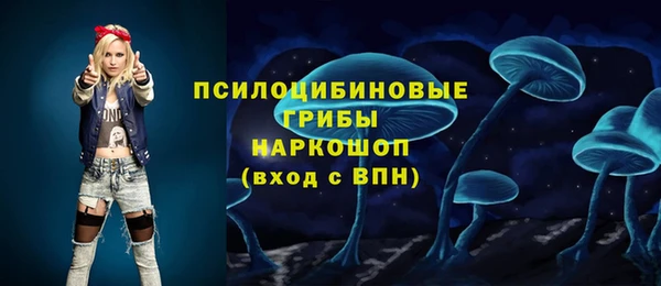 Альфа ПВП Беломорск